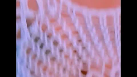 indianroxy27 online show from 12/13/25, 08:14