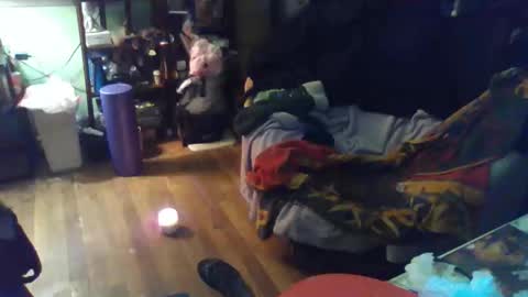 indigo_scorpio online show from 02/11/26, 12:04