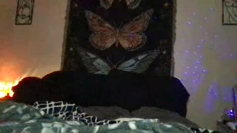 Indigo Bay online show from 01/10/25, 12:17