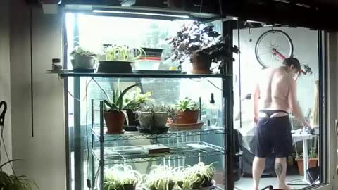 BroLOU online show from 06/15/26, 07:38