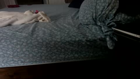 InsatiableCpl333 online show from 01/23/25, 02:07