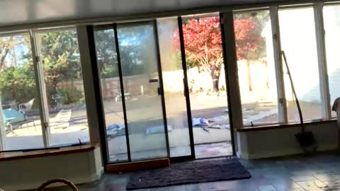 IntoTheWoodsWeGo online show from 11/13/25, 08:30