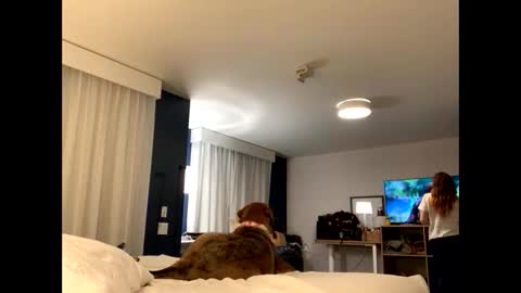 IntoTheWoodsWeGo online show from 11/27/25, 01:51