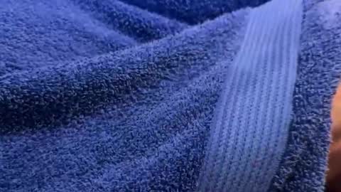 intressiert online show from 12/30/24, 01:25