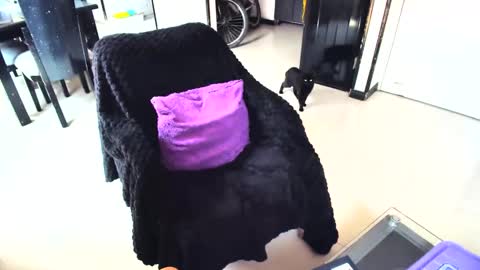 irina online show from 02/15/25, 04:45