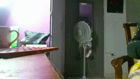 Camilla online show from 12/22/24, 01:55