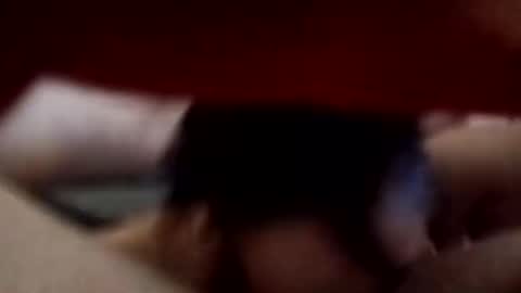 irishkink271934 online show from 03/28/26, 06:35