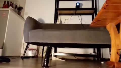 iron_cock40 online show from 02/13/26, 09:55