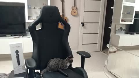 Irwi Tomboy online show from 12/26/24, 11:24