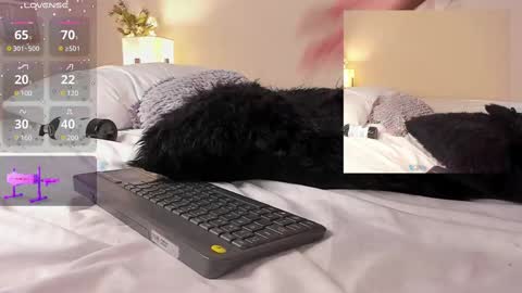 Snapshot of isa_jonness_ chatting on 02/19/25, 04:44 oIssaJonneso online show from 02/19/25, 04:44