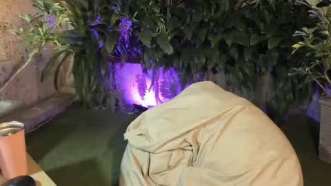 isabelastefano online show from 10/04/25, 12:08