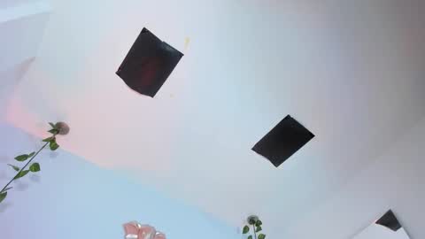   online show from 11/12/25, 08:41