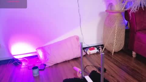   online show from 04/21/26, 10:32