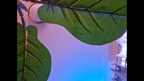 Isabella online show from 10/23/25, 05:51