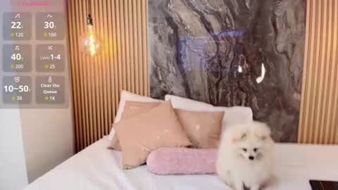 Snapshot of isadora_14 chatting on 10/13/25, 02:28 ISADORA online show from 10/13/25, 02:28