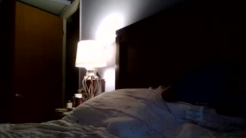 Snapshot of isiah0158 chatting on 03/05/26, 10:17 youngking online show from 03/05/26, 10:17