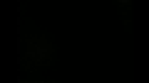 issazorro online show from 12/18/24, 09:29