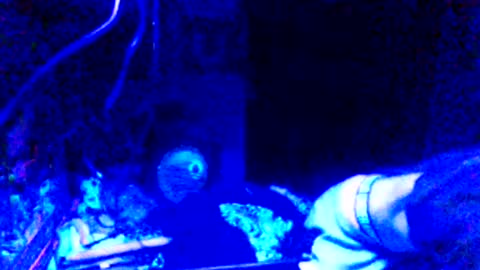 Girlnextdoor online show from 03/25/26, 10:43