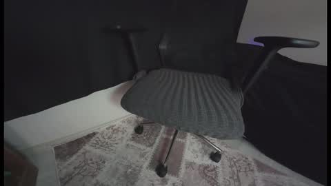 erdem online show from 11/17/25, 11:38