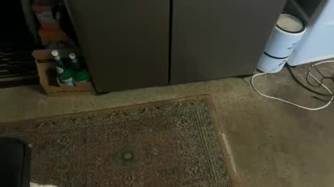 Tony online show from 11/03/25, 03:24