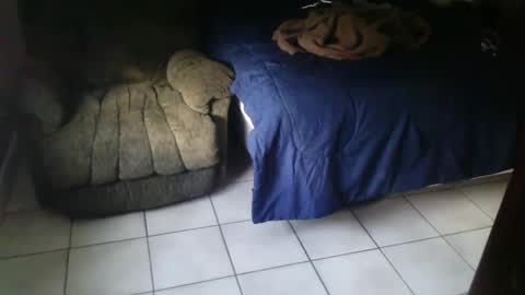 Snapshot of italjock24 chatting on 09/11/25, 12:16 BearlyLoganFL online show from 09/11/25, 12:16