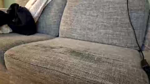 Snapshot of itsjeroen chatting on 11/02/25, 01:52 itsjeroen online show from 11/02/25, 01:52