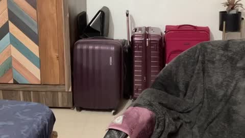 Raje online show from 10/04/25, 12:03