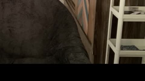 Raje online show from 10/29/25, 05:42