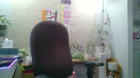 ivyjane3522 online show from 04/25/26, 11:46