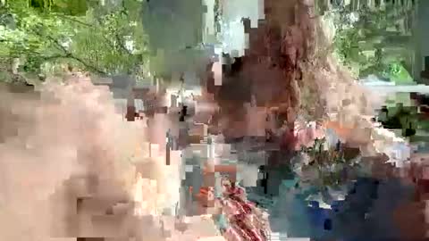 ivysagex online show from 12/20/25, 03:57