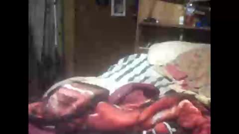 sexyjt online show from 12/12/24, 07:08