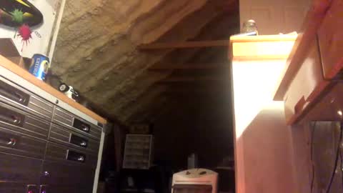 Snapshot of iwinnner chatting on 01/28/25, 02:11 That  Guy  online show from 01/28/25, 02:11