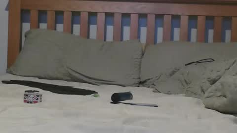 Big 8 online show from 11/04/25, 02:16