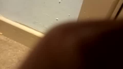 j434934 online show from 01/05/26, 07:28