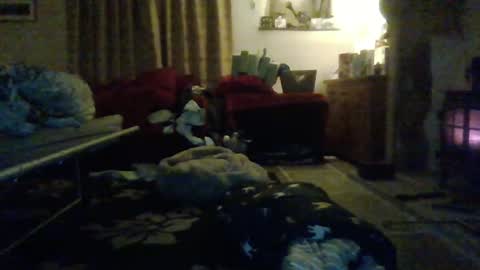 J4ckcock online show from 01/01/25, 12:43