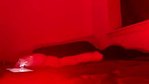 j4ckoff online show from 11/22/25, 05:50