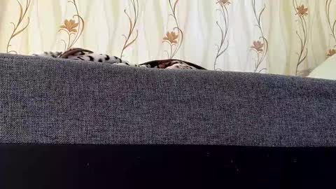 jaaaaanek2 online show from 04/21/26, 06:52