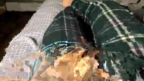 Jaaltar online show from 12/03/25, 02:41