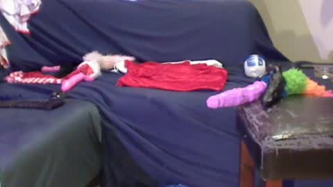 JACKSLUT BUY ME . FAN CLUB MEMBERS AND THOSE WHOM THE MEMBERS INDICATE SISY SLUT PROVIDES THEM  FREE SERVICES online show from 12/29/24, 02:06