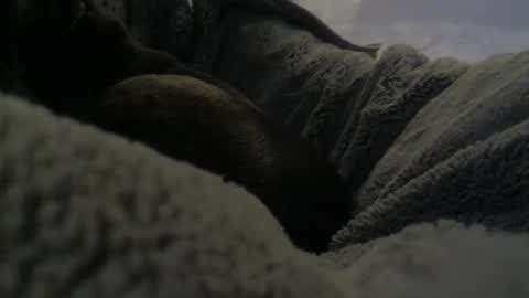 Snapshot of jackad44 chatting on 10/17/25, 06:32 jackad44 online show from 10/17/25, 06:32