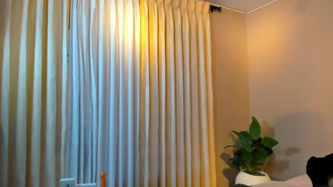 Jackson Bell online show from 12/19/24, 01:07