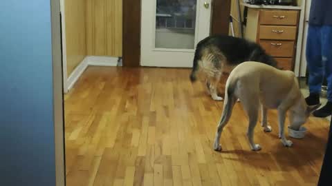 funtimes49203 online show from 01/10/26, 02:08