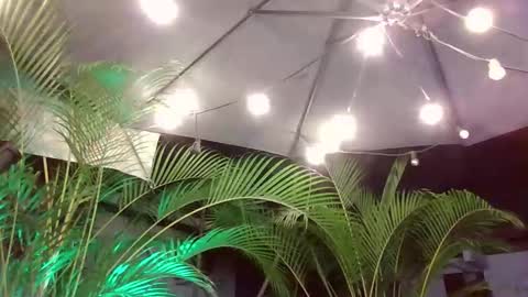 jacobdraven online show from 12/05/25, 03:26