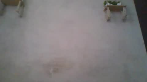 Snapshot of jacqueline_fernandez chatting on 06/14/26, 05:09 jacqueline_fernandez online show from 06/14/26, 05:09