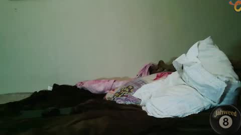 Jahweed online show from 02/08/26, 12:08