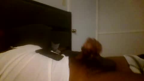 Jamacian online show from 12/16/24, 03:19