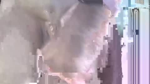 Snapshot of jamesbond007322393 chatting on 09/21/25, 04:52 jack online show from 09/21/25, 04:52