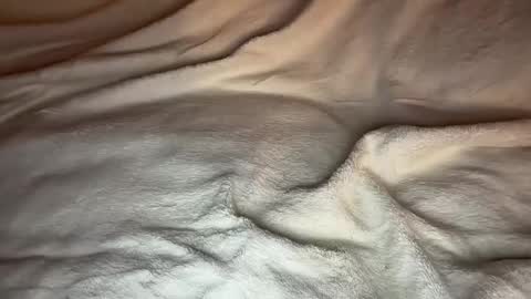 jamesdean0101 online show from 01/14/26, 10:47