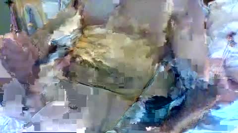 jameswhite5001 online show from 02/08/25, 03:21