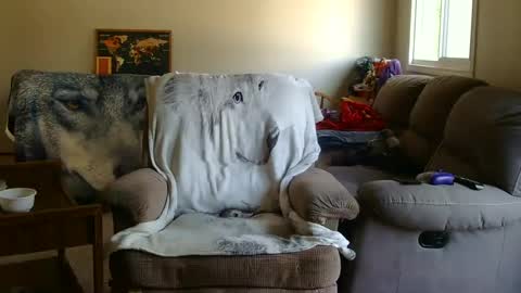 jameswolf777 online show from 09/09/25, 05:34